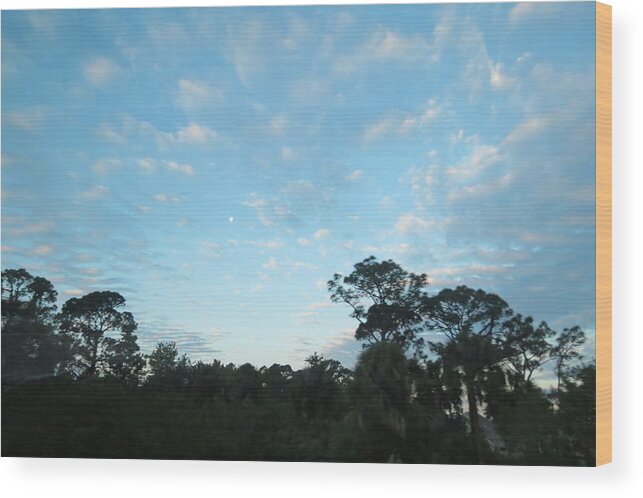 Landscape Wood Print featuring the photograph Projecting Into Heaven by Fortunate Findings Shirley Dickerson
