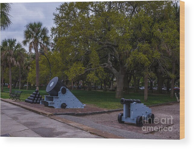 Cannon Wood Print featuring the photograph Protect the Battery by Dale Powell