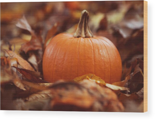 Pumpkin Wood Print featuring the photograph Pumpkin in Leaves by Kim Fearheiley