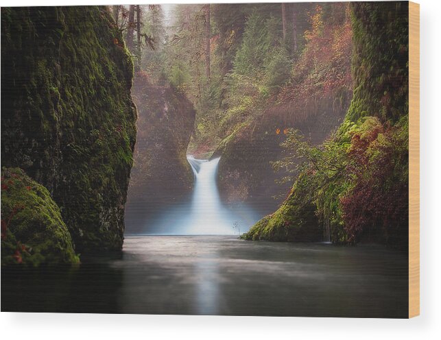 Waterfall Wood Print featuring the photograph Punch Bowl Falls by Brian Bonham