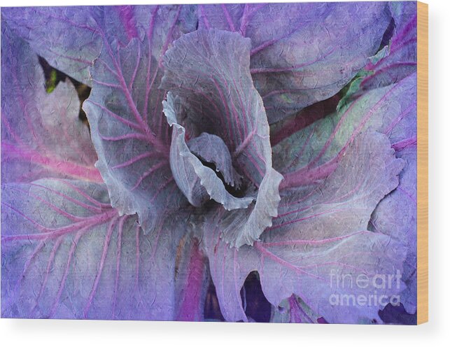 Purple Cabbage Wood Print featuring the photograph Purple Cabbage - Vegetable - Garden by Andee Design