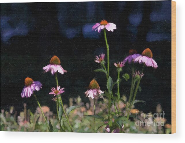 Purple Coneflowers Wood Print featuring the photograph Purple Coneflowers Echinacea by Linda Matlow