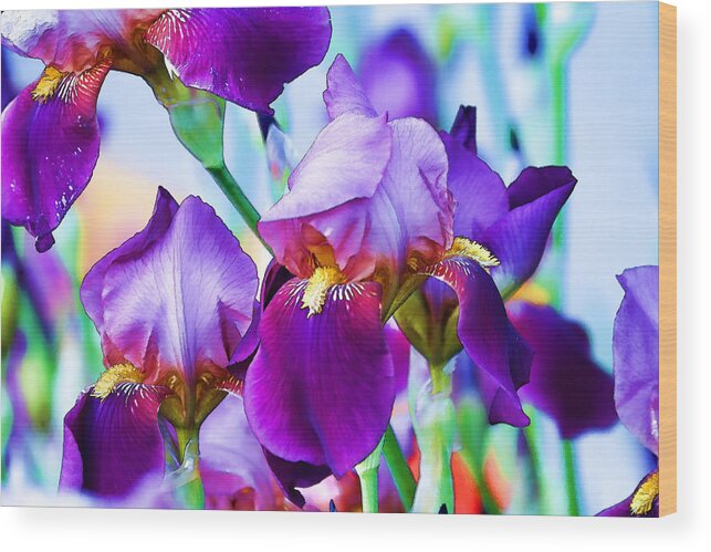 Iris Wood Print featuring the photograph Purple Iris Garden by Peggy Collins