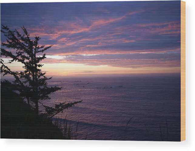 Sunset Wood Print featuring the photograph Purple Majesty by Beth Collins