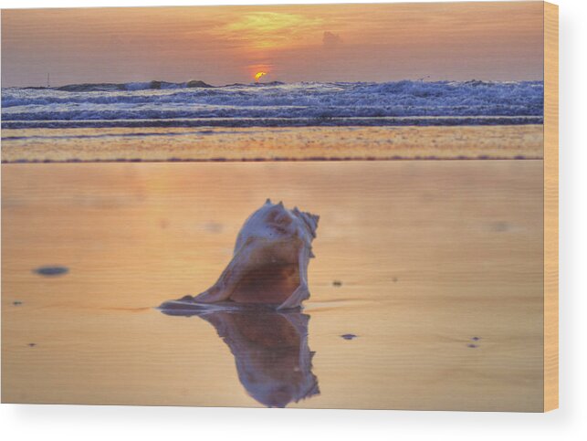 Sunrise Wood Print featuring the photograph Put Your Keys In The Conch Shell..... Come On In by Danny Mongosa