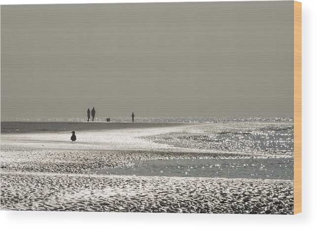 Seaside Wood Print featuring the photograph Quick silver by Spikey Mouse Photography