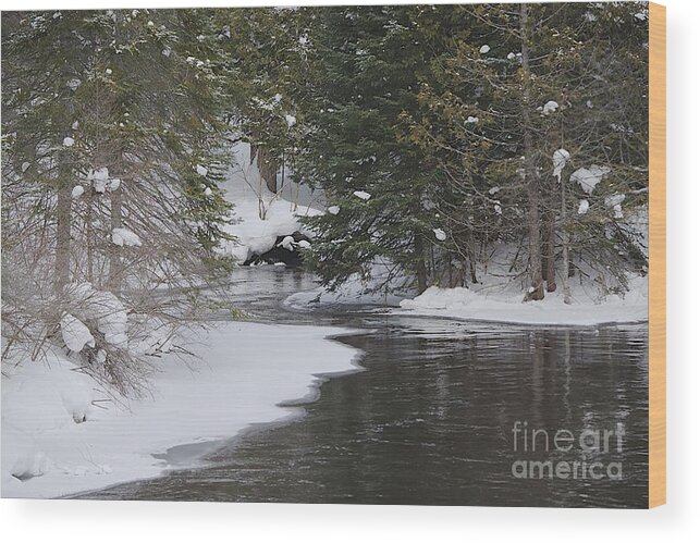 Jordan River Wood Print featuring the photograph Quick Turn by Joseph Yarbrough