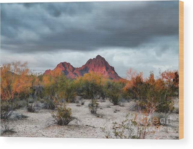 Fine Art Wood Print featuring the photograph Raggedy Top Mountain III by Donna Greene