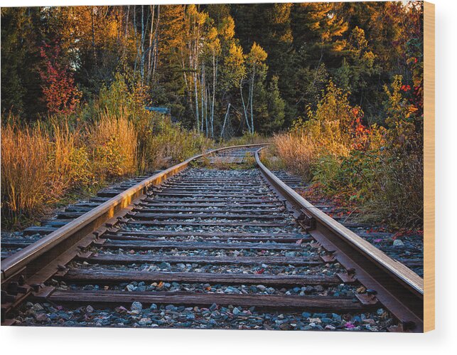 Autumn Wood Print featuring the photograph Rails Pondicherry NWR by Jeff Sinon