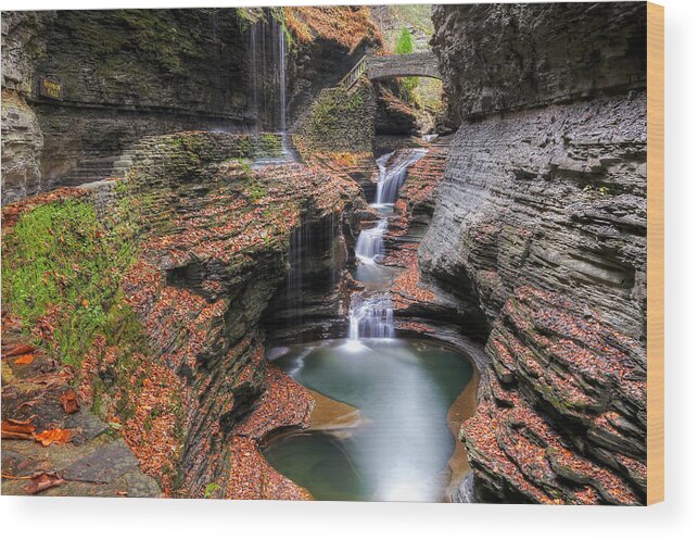 Landscape Wood Print featuring the photograph Rainbow Falls by Terry Cervi
