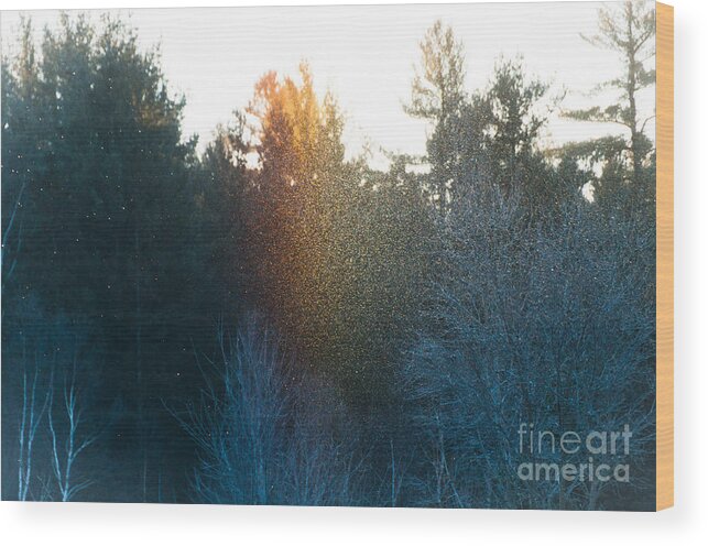 Sundog Wood Print featuring the photograph Rainbow Sparkles by Cheryl Baxter