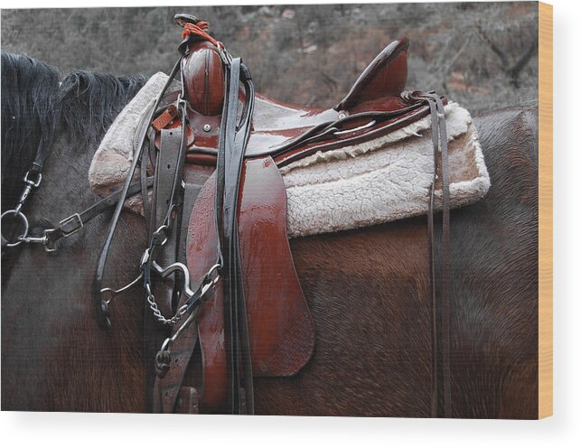 Horse Art Wood Print featuring the photograph Rained Out by Jani Freimann