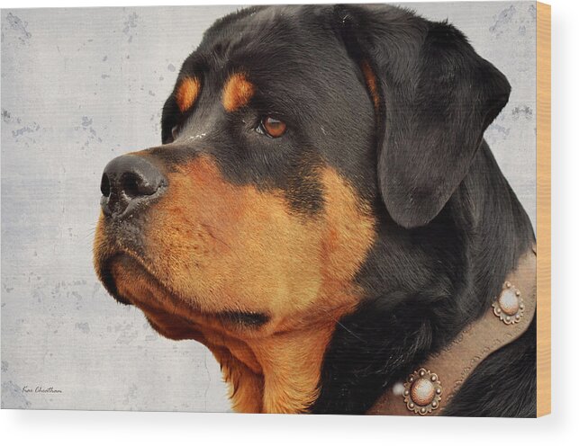 Dog Wood Print featuring the mixed media Ranch Dog on Watch by Kae Cheatham