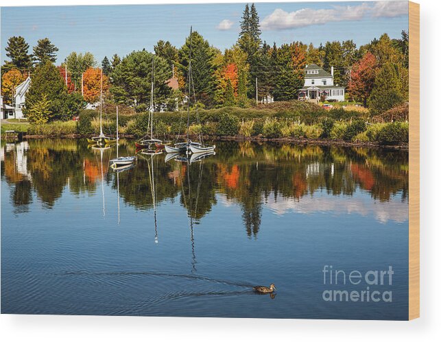 Rangely Wood Print featuring the photograph Rangley Lake Maine by Brenda Giasson