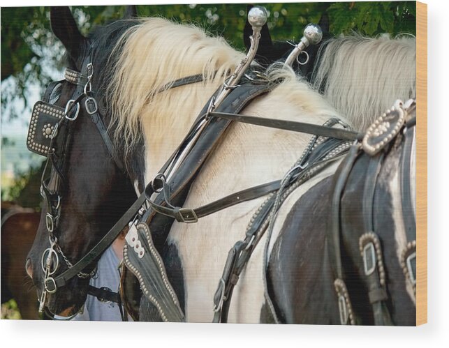 Horse Wood Print featuring the photograph Rascal by Kristia Adams