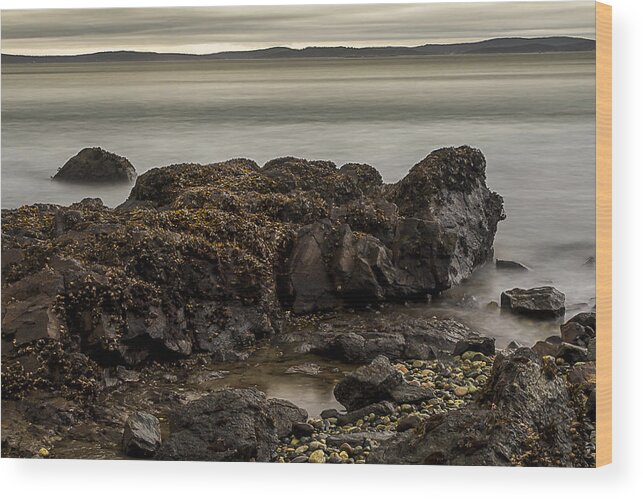 Long Exposure Wood Print featuring the photograph Receding Tide by Tony Locke