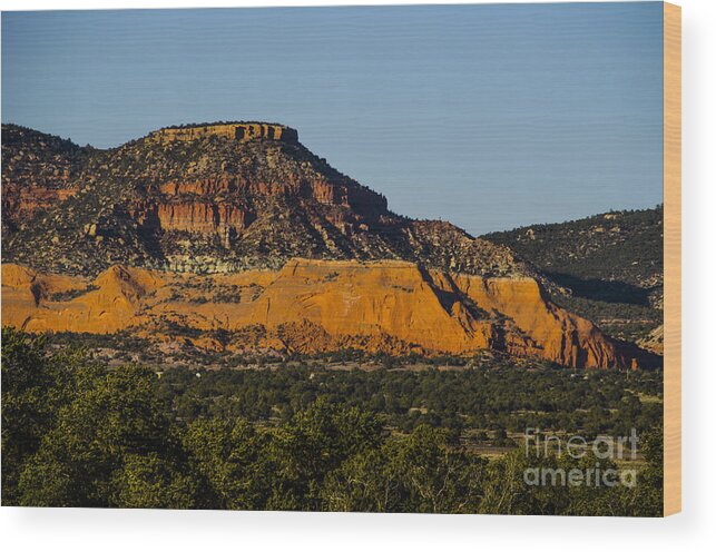 New Mexico Wood Print featuring the photograph Red and Green Plateau New Mexico by Deborah Smolinske