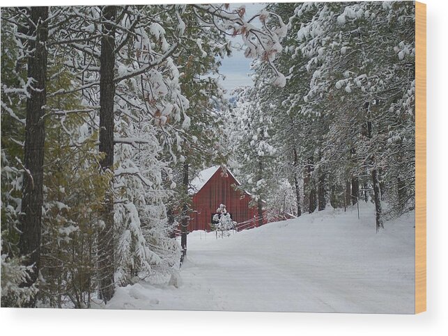 Barn Wood Print featuring the photograph Red Barn 1 by Loni Collins