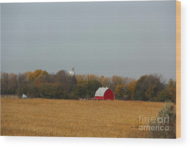 Barns Wood Print featuring the photograph Red Barn in Fall by Yumi Johnson