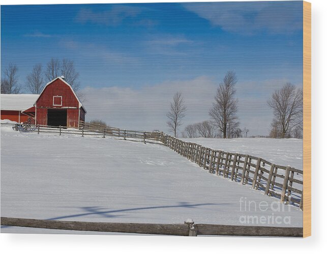 Red Wood Print featuring the photograph Red Barn by Les Palenik