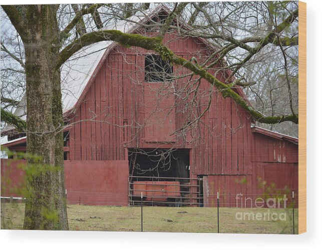 Rustic Wood Print featuring the photograph Red Barn Series Picture C by Barb Dalton