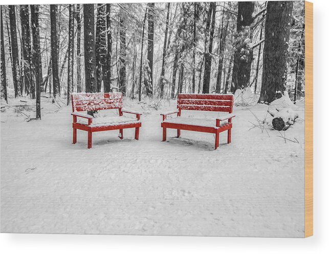 Trees Wood Print featuring the photograph Red Benches by Cathy Kovarik