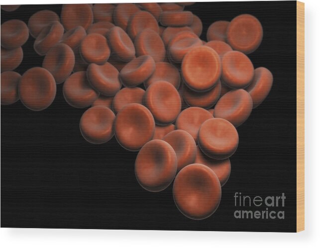 Cells Wood Print featuring the photograph Red Blood Cells by Science Picture Co