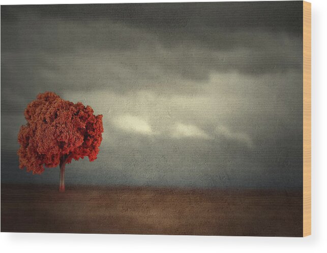 Thunder Wood Print featuring the photograph Red Carpet Thunder by Mark Ross