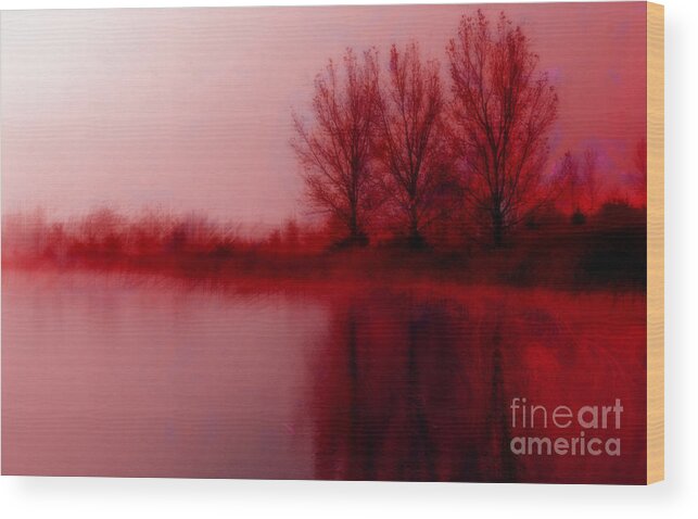 Sunset Wood Print featuring the photograph Red Dawn by Julie Lueders 