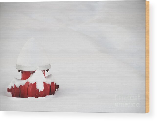 Outdoor Wood Print featuring the photograph Red fired hydrant buried in the snow. by Oscar Gutierrez