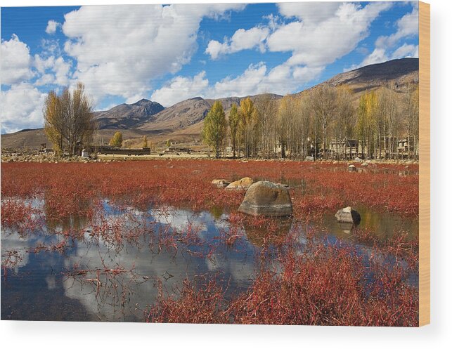 Autumn Wood Print featuring the photograph Red Grass Beach by Jason KS Leung