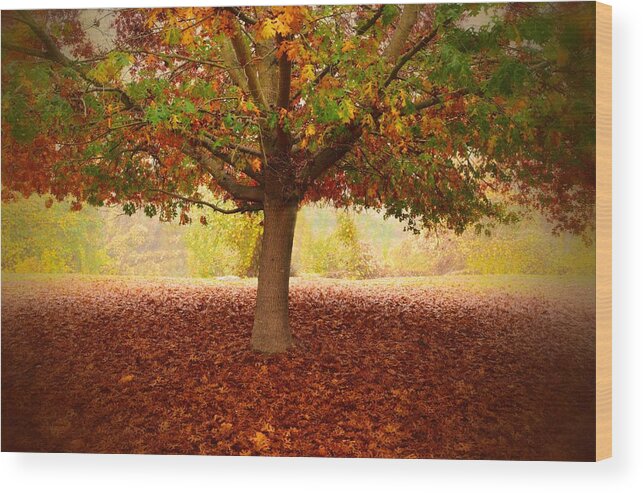 Fall Foliage Wood Print featuring the photograph Red Leaf Blanket by Marilyn MacCrakin