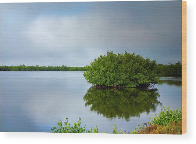 Wetland Wood Print featuring the photograph Red Mangrove Marsh I by Steven Ainsworth