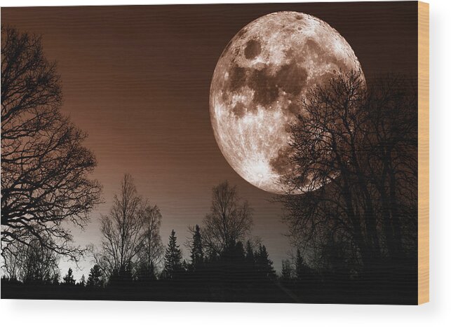 Space Wood Print featuring the photograph Red Moon Rise by Christian Lagereek
