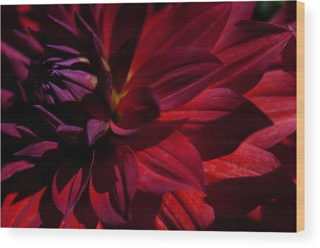 Red Wood Print featuring the photograph Red Passion by Kristal Kraft