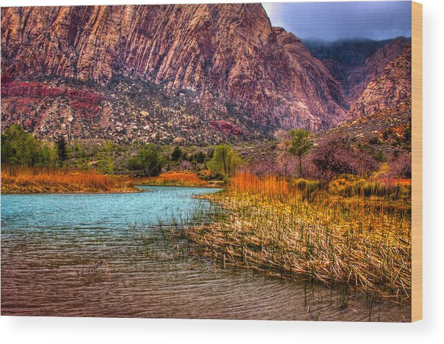 Red Rock Wood Print featuring the photograph Red Rock Canyon Conservation Area by David Patterson