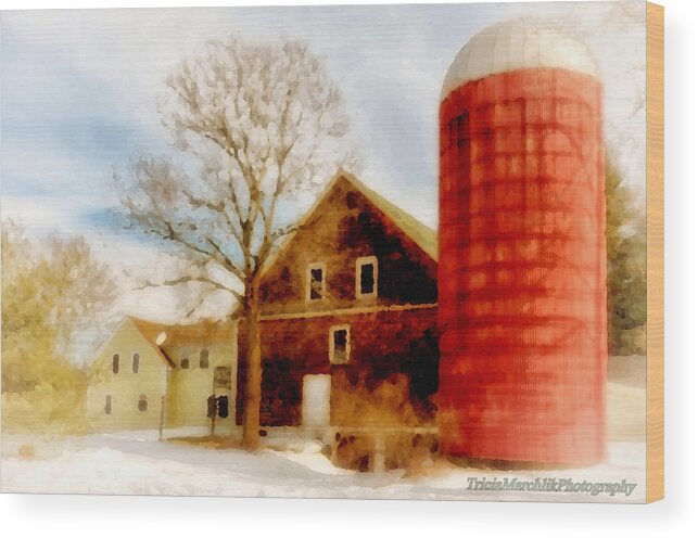 Nature Wood Print featuring the photograph Red Silo by Tricia Marchlik