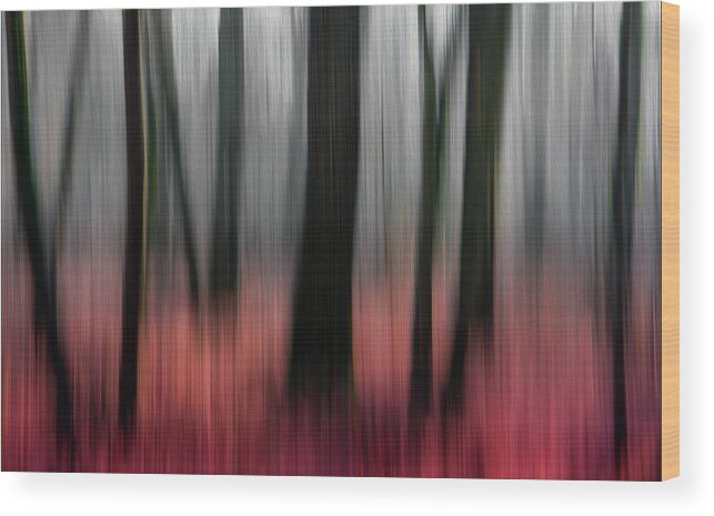 Blur Wood Print featuring the photograph Red Wood by Gilbert Claes
