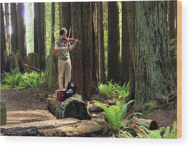 Redwood Wood Print featuring the photograph Redwood Symphony  by Roxie Crouch