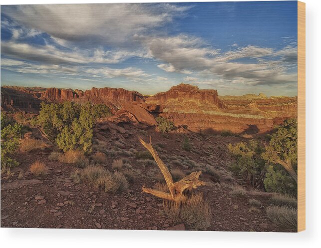 Hdr Wood Print featuring the photograph Reef by Stephen Campbell