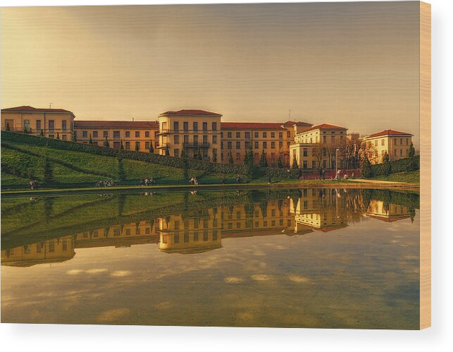 Color Efex Pro Wood Print featuring the photograph Reflection at Portello Park by Roberto Pagani