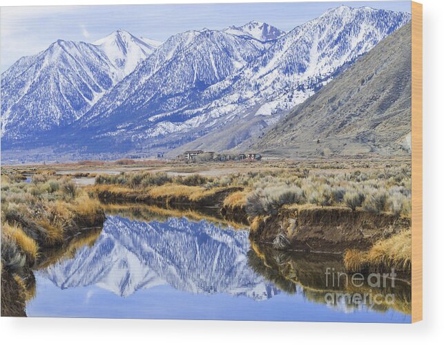 Landscape Wood Print featuring the digital art Reflection from Genoa Ln by L J Oakes