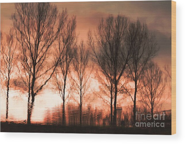 Landscape Wood Print featuring the photograph Reflection in red by Adriana Zoon