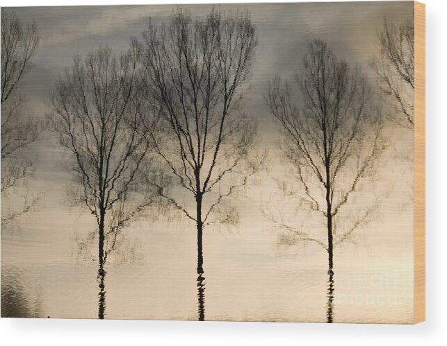 Landscape Wood Print featuring the photograph Reflections in grey II by Adriana Zoon