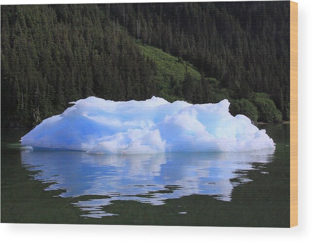 Iceberg Wood Print featuring the photograph Reflections in the Sea by Shoal Hollingsworth