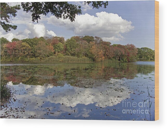 Autumn Wood Print featuring the photograph Reflections of Autumn 1 by Scott Evers