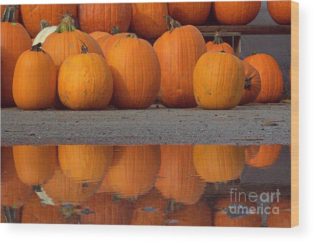 Pumpkins Wood Print featuring the photograph Reflections of Pumpkin by Jale Fancey