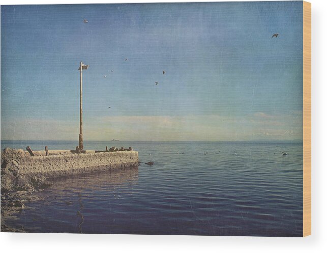 Salton Sea Wood Print featuring the photograph Reminders by Laurie Search