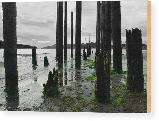 Ruins Wood Print featuring the photograph Remnants by Darren Bradley