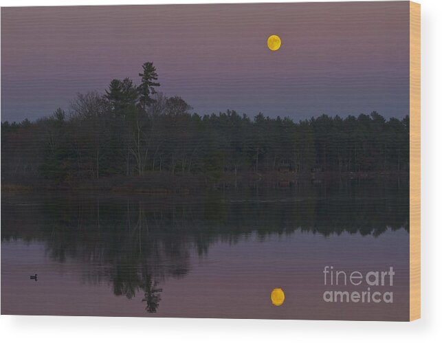 Full Moon Wood Print featuring the photograph Replacing the Sunset II by Alice Mainville